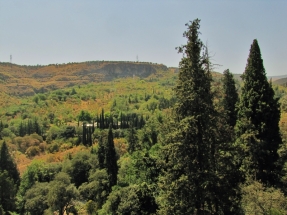 Tbilisio botanikos sode