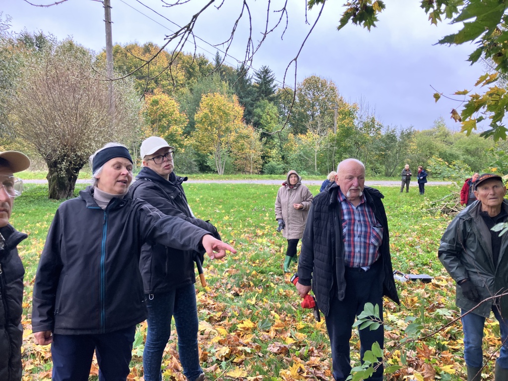 Dendrologai talkininkauja Adolfo Kišono kurtame Degaičių parke